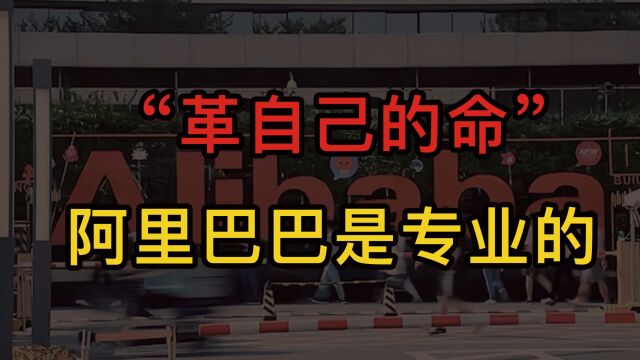 “革自己的命”,阿里巴巴是专业的,24年最大的变化来了