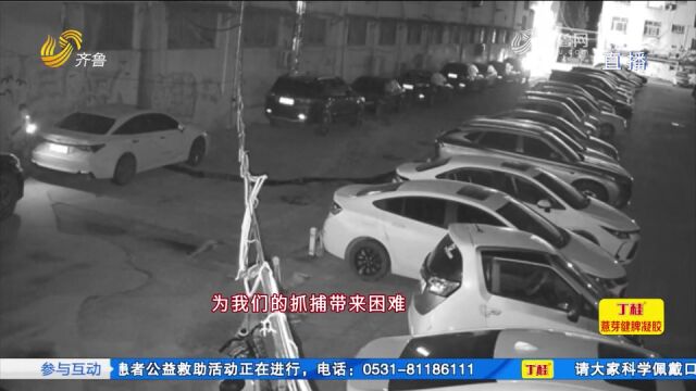 私家车被贴“涉黄”小卡片,民警顺藤摸瓜牵出网络诈骗引流团伙