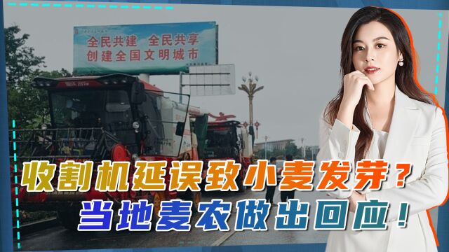 收割机无法下高速,致使麦子收割不及时发芽?河南南阳市做出回应