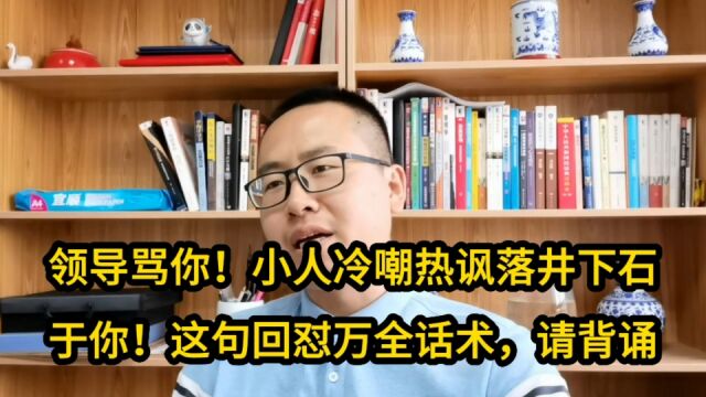 领导骂你!小人冷嘲热讽落井下石于你!这句回怼万全话术,请背诵