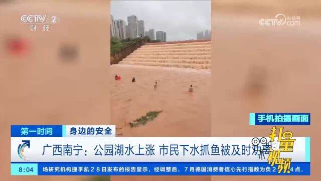 广西南宁:公园湖水上涨,多名市民下水抓鱼,被及时劝离