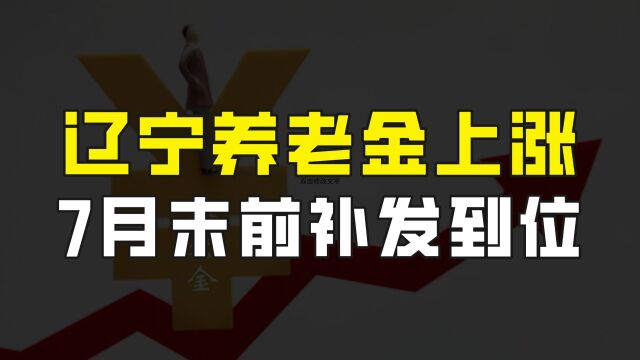 辽宁养老金上涨方案公布,这几类人员涨幅较高,7月末前补发到位