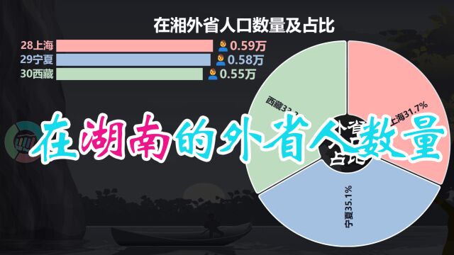 在湖南的外省人数量排名,前三甲都是谁