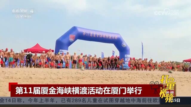 第11届厦金海峡横渡活动在厦门举行