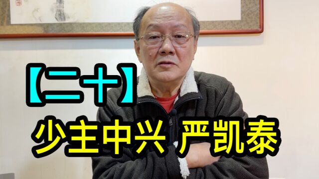 【二十】高先生讲述裕隆集团少主严凯泰的经历