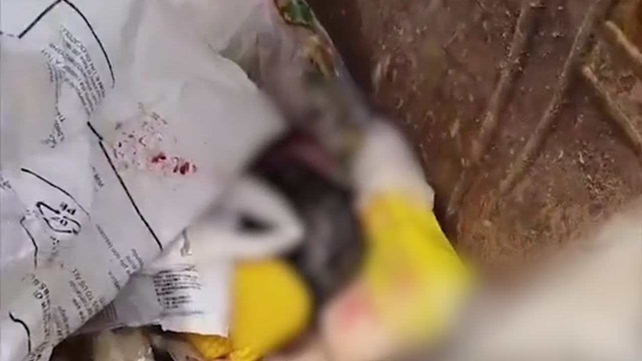 老人在垃圾桶内发现弃婴,被塑料纸盖住发出阵阵哭声,身上有血迹