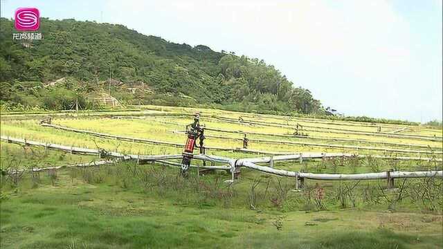 广电《龙岗新闻》区领导到深圳东部环保电厂、红花岭环境园调研