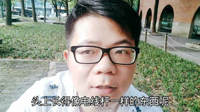 上海街头像天线宝宝的车绿色环保,是否还有必要保留