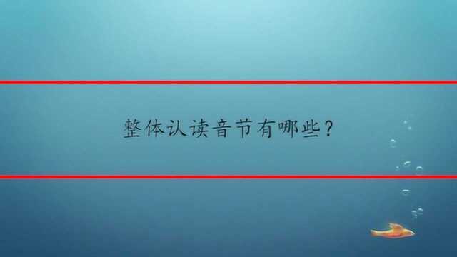 整体认读音节有哪些?