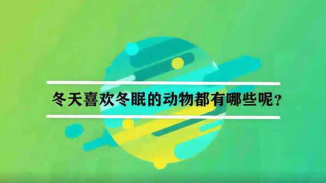 冬天喜欢冬眠的动物都有哪些呢?