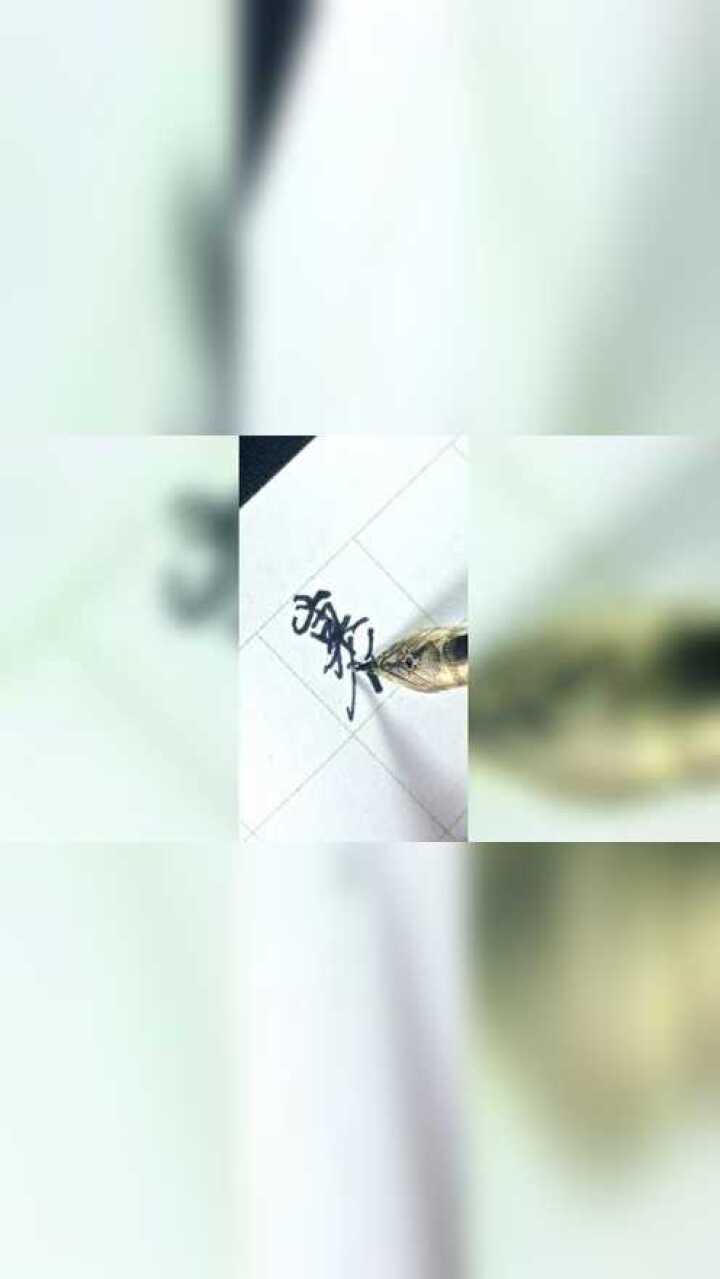 裹字行楷标准写法_高清1080P在线观看平台_腾讯视频