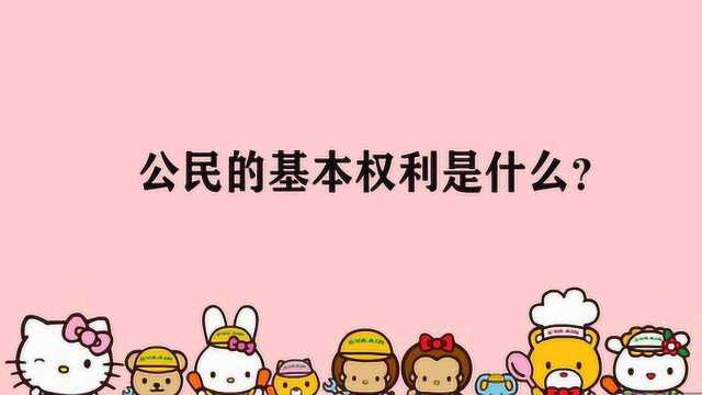 公民的基本权利是什么?