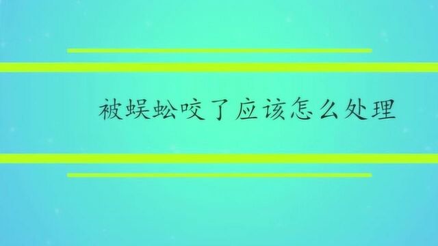 被蜈蚣咬了应该怎么处理