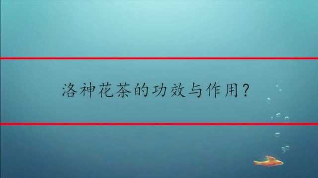 洛神花茶的功效与作用?