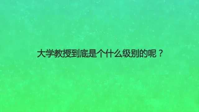 大学教授到底是个什么级别的呢?