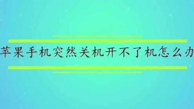 苹果手机突然关机开不了机怎么办