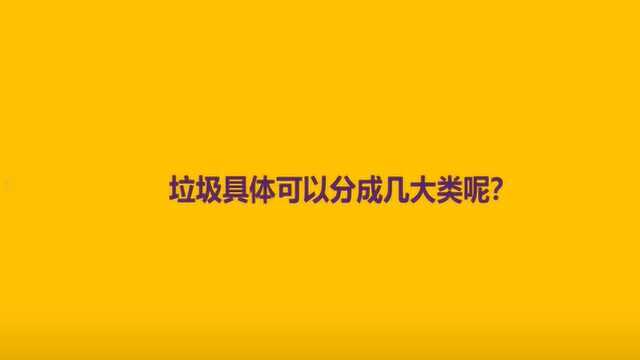 垃圾具体可以分成几大类呢?