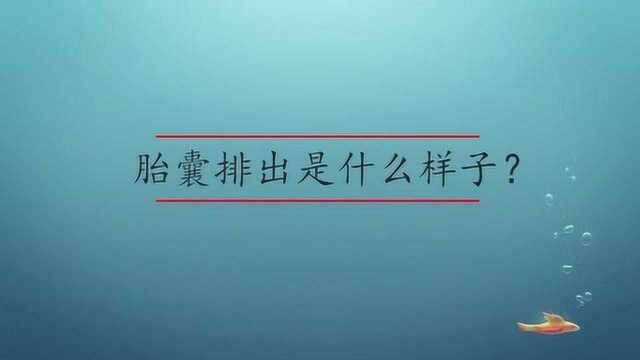 胎囊排出是什么样子?