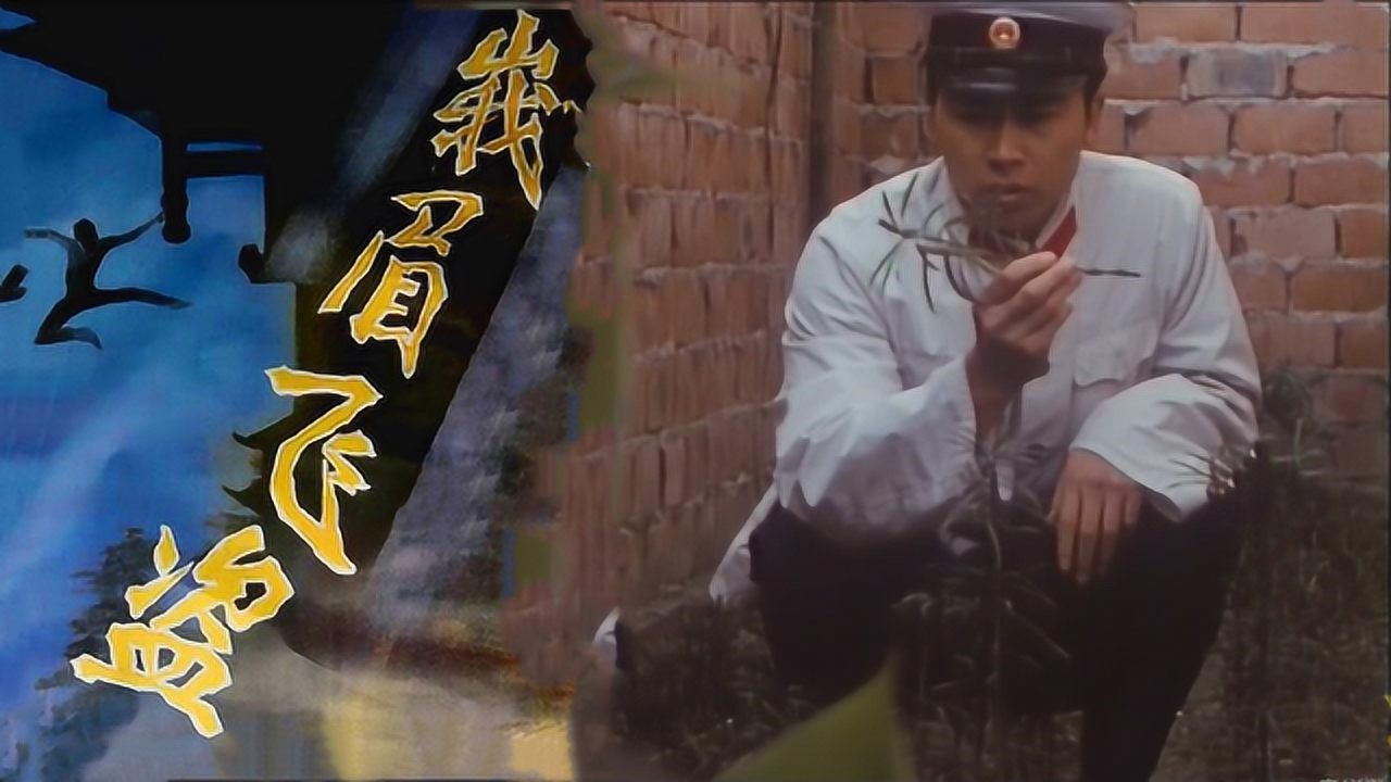 80年代国产警匪老电影公安发现地上的草不对劲拔起一看没有根