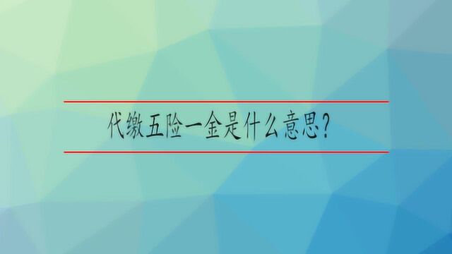 代缴五险一金是什么意思?