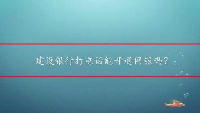 建设银行打电话能开通网银吗?