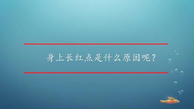 身上长红点是什么原因呢?