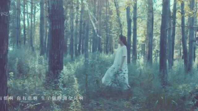 方磊网络歌曲《依兰爱情故事》真人版超清MV