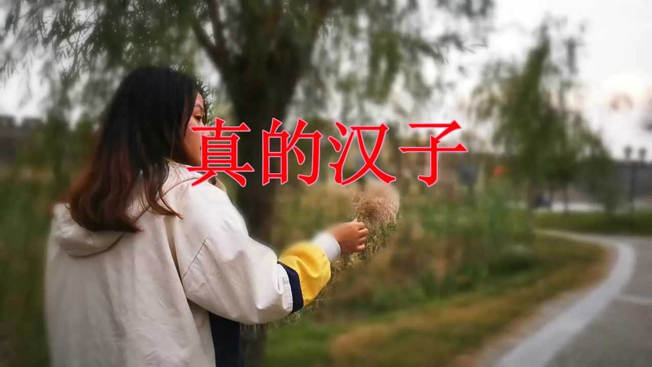 精选好歌！这首《真的汉子 》唱出了多少人内心的无助_腾讯视频