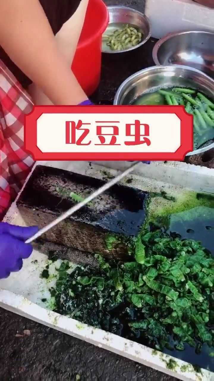 牛人竟然这样吃豆虫,看到这一幕,我的鸡皮疙瘩掉了一地