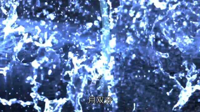 君海棠vs飘渺月