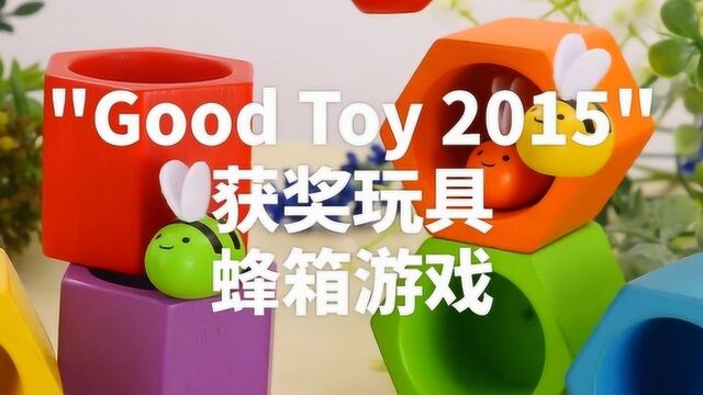 PlanToys蜂箱游戏积木益智玩具