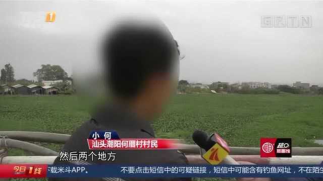 揭阳榕城:水浮莲疯长,河面变“草地”