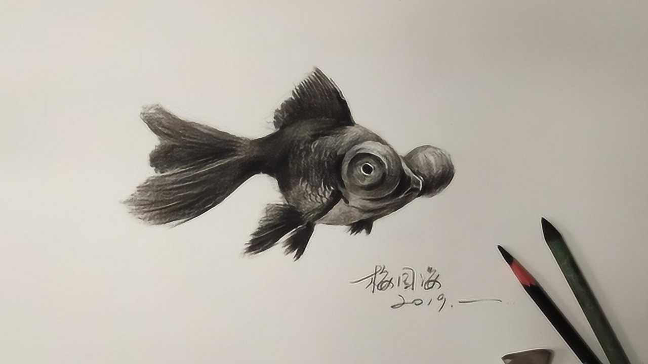 素描画一条黑色金鱼-梅哥哥加速版