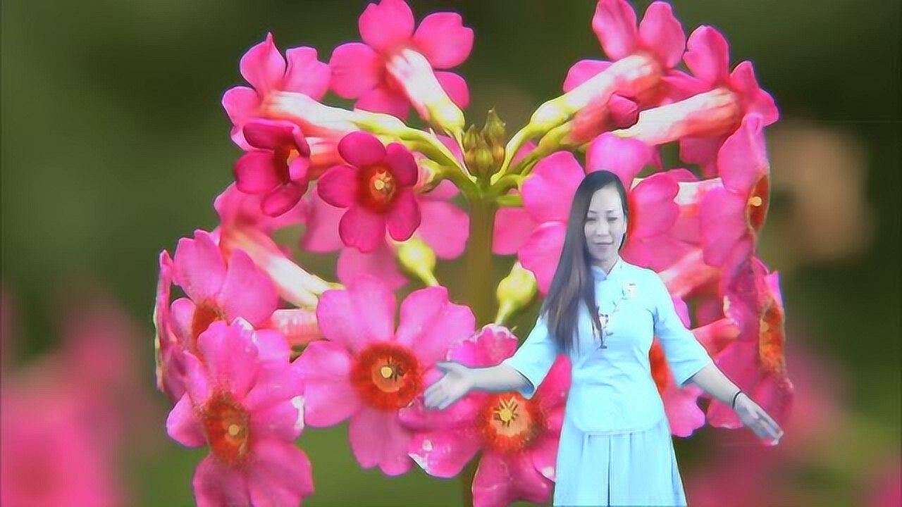 谢安妮演唱酒醉的蝴蝶悠扬迷人照亮心扉