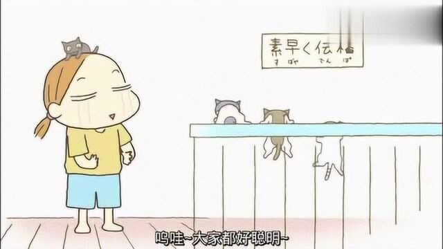 佝偻猫:橘猫果然特别,人家吃饭它吃奶,人家都断奶了它还喝奶