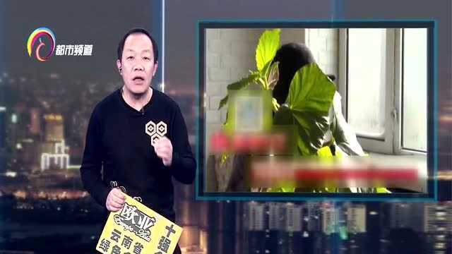 大口马牙,小伙经人介绍去治牙,不但没治好反倒出了大问题