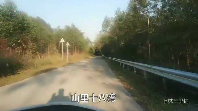 广西上林山里的山路十八湾