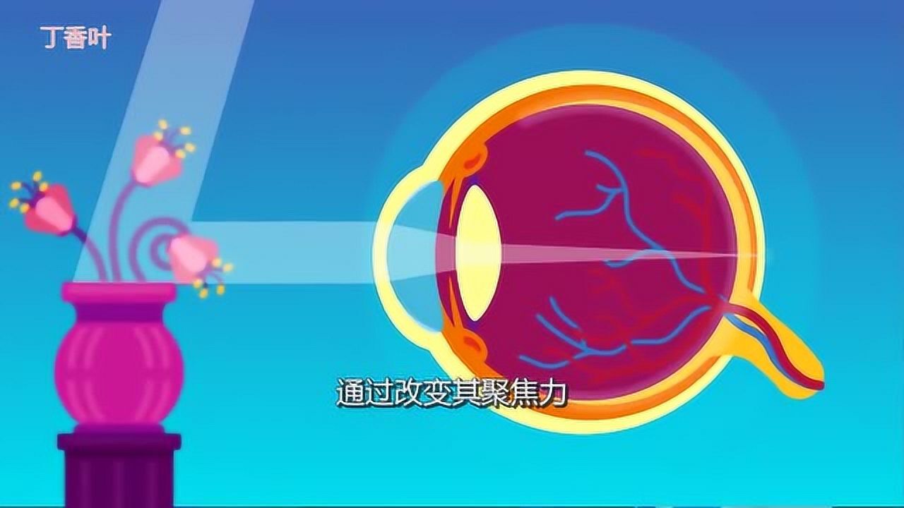 近视与远视之间的区别_高清1080P在线观看平台_腾讯视频