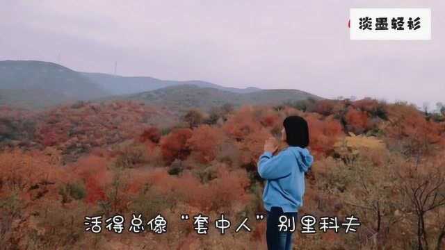 河南鹤壁太行山里的红叶漫山遍野,要不要一起欣赏?