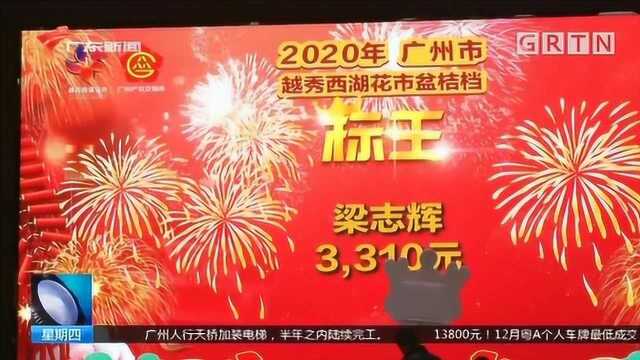 53.8万元!2020年越秀西湖花市“标王”诞生