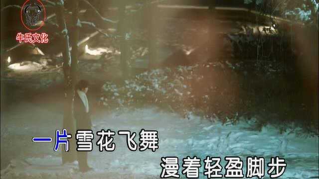 李瑞雪歌曲《踏雪寻梅》红日蓝月KTV推介