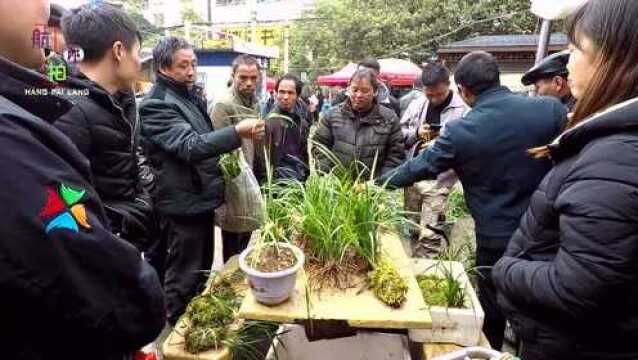 不要再问我地址了,这里就是贵州省安顺市,紫云县的大灯脚