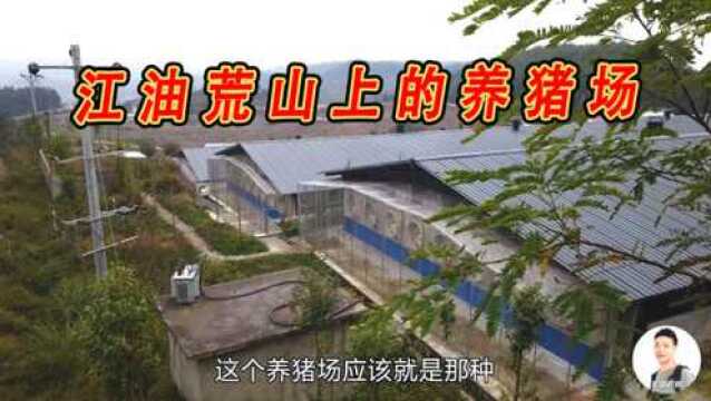 四川江油:小溪坝这边的封闭式养猪场,至少可养几千头猪,真壮观