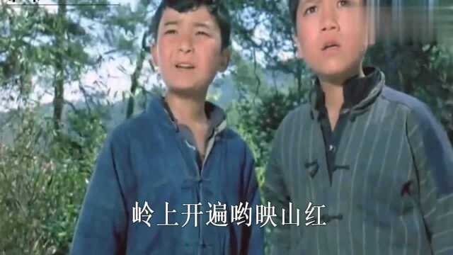 经典红歌《映山红》,歌声宛转悠扬,让人热泪盈眶!