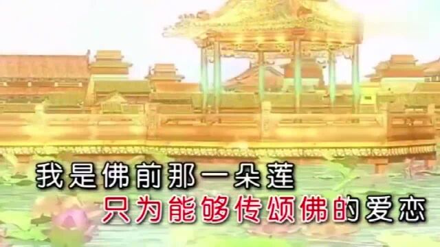 一首佛教静心曲《转世莲花 》,听完心无杂念,佛佑平安健康