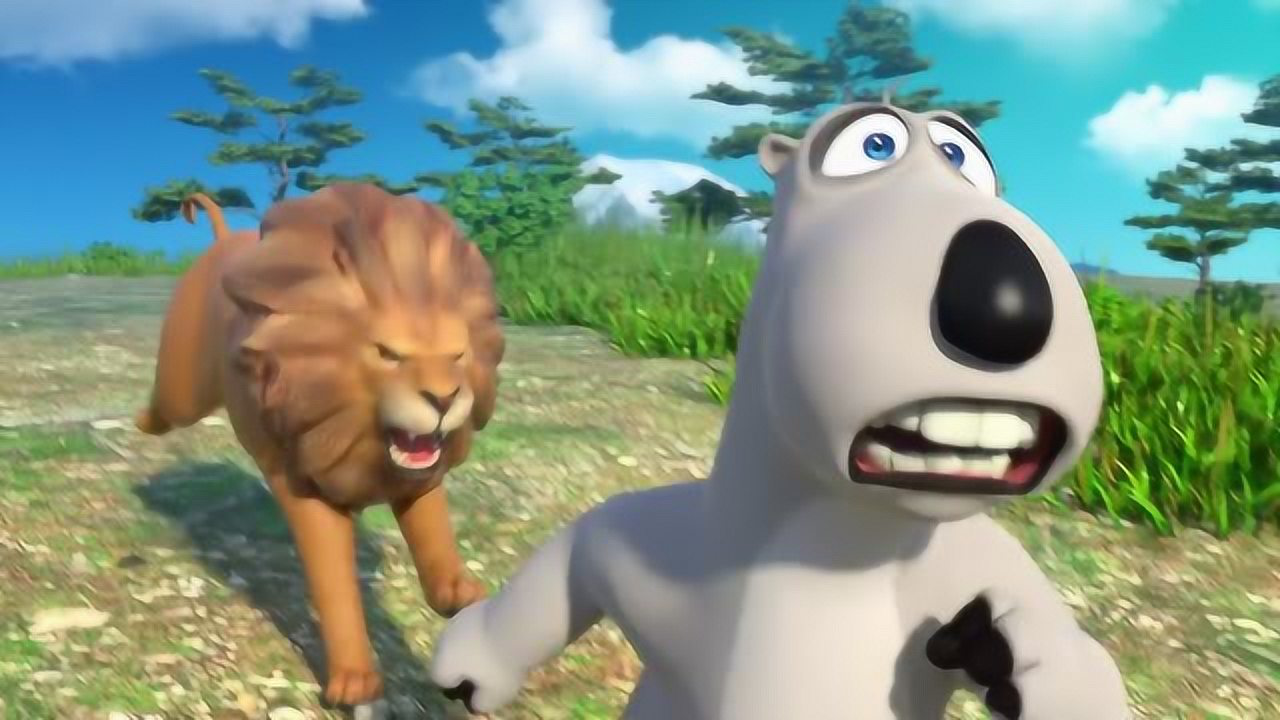 贝肯熊想去给狮子拍照,但是拍的忘我了,一下子惊动了狮子