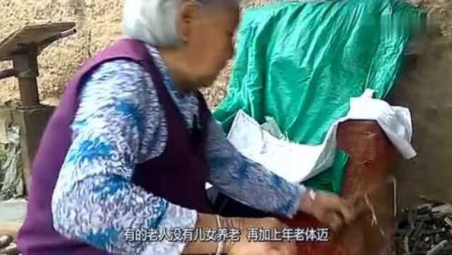 为什么养老金一到账,老人就立马去银行取走呢?看完感慨万分