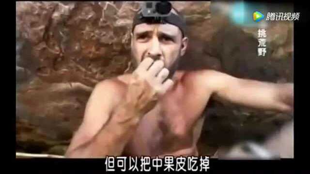 贝爷荒野求生!德爷单挑荒野马来西亚大龙虾!太厉害了!