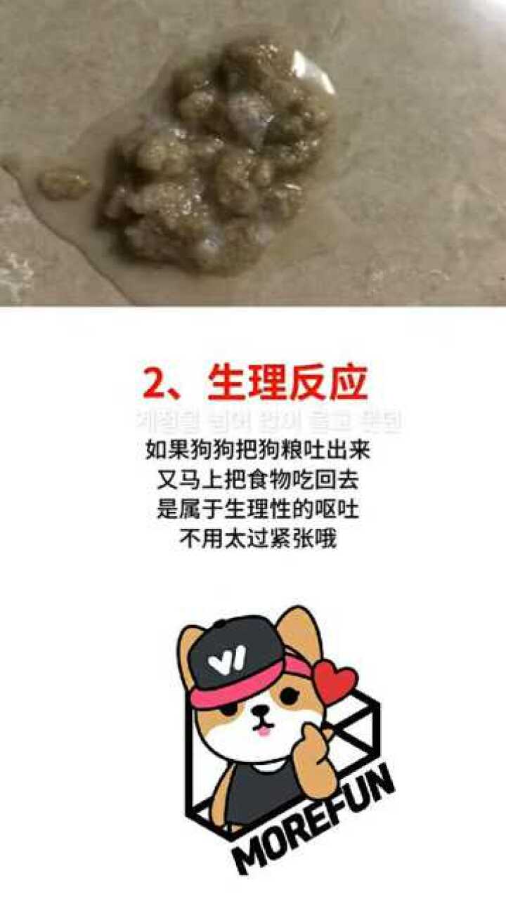 狗狗呕吐猫粮的原因及缓解方法