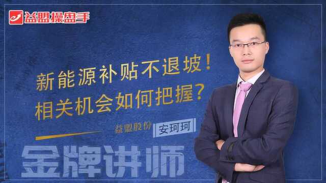 新能源补贴不退坡!相关机会如何把握?